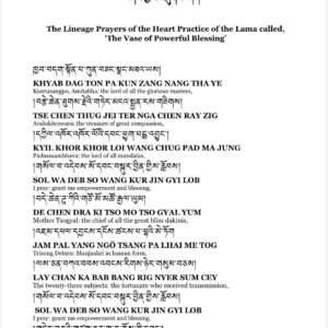 granting wishes for the fortunate one (guru padmasambhava heart sadhana) [digital pdf, tibetan and english]]